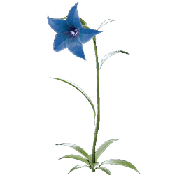 medicinal_flowers_key_items_final_fantasy_7_remake_wiki_guide_250px
